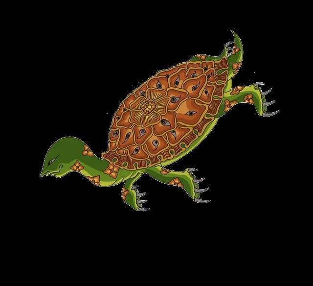 Bulus